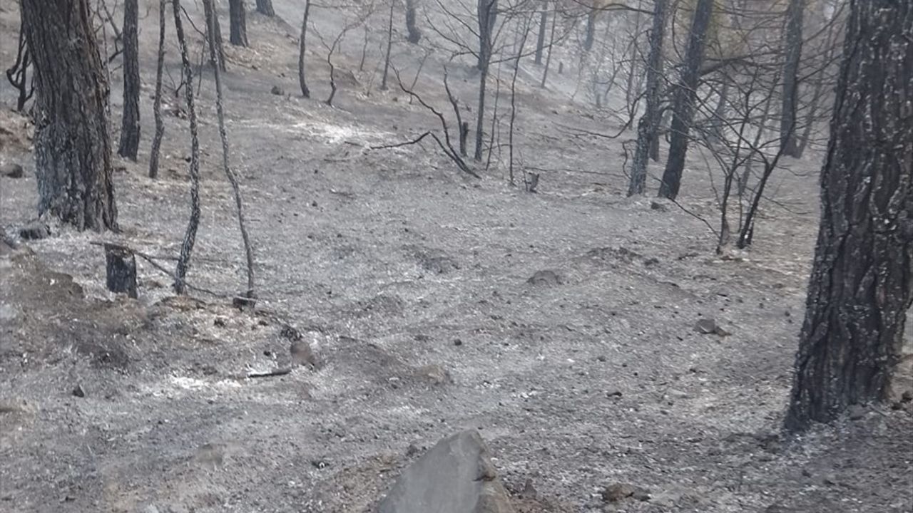 Gaziantep'te Orman Yangını Kontrol Altına Alındı