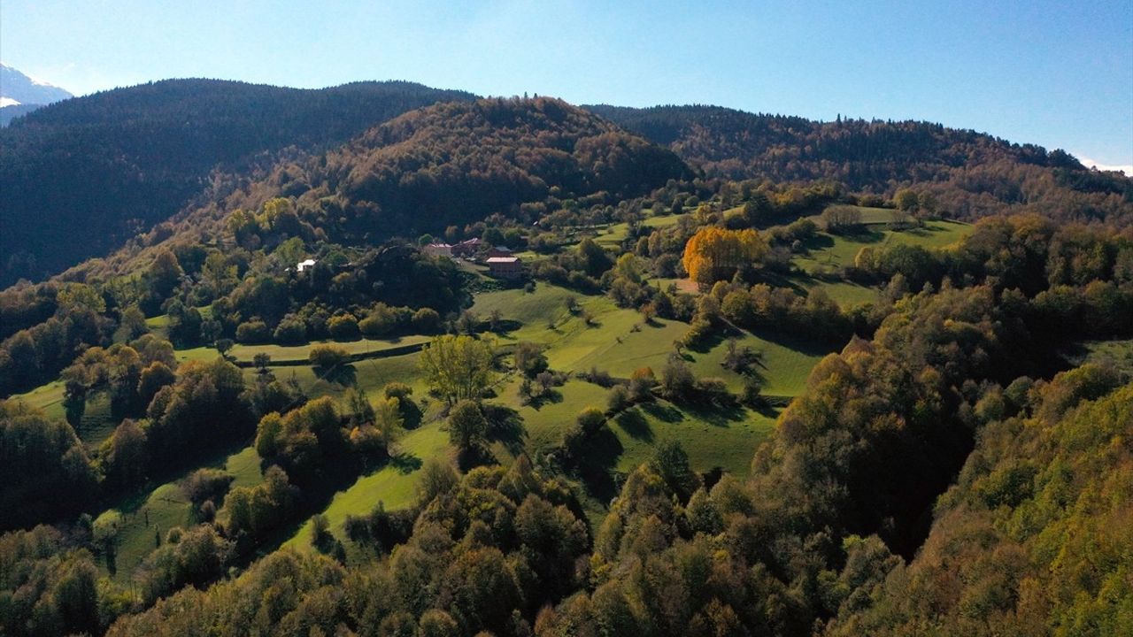 Ilgaz Dağı'nda Kış ve Sonbahar Nasıl Bir Arada Yaşanıyor?