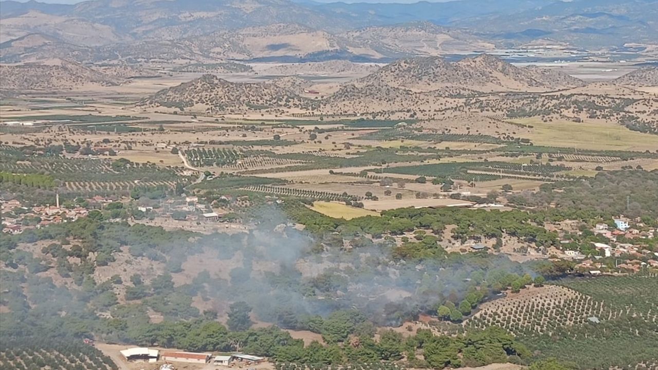 İzmir Dikili'de Tarım Arazisinde Yangın Ortaya Çıktı