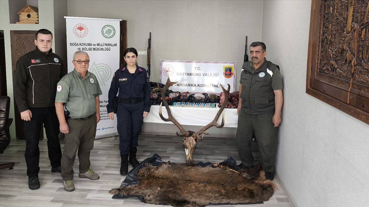 Kastamonu'da Kaçak Avcılar Yakalandı