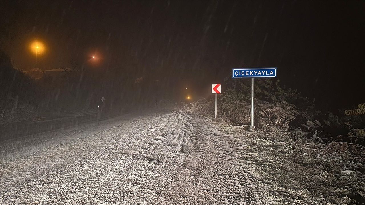 Kastamonu'da Kar Yağışı Etkisini Gösterdi