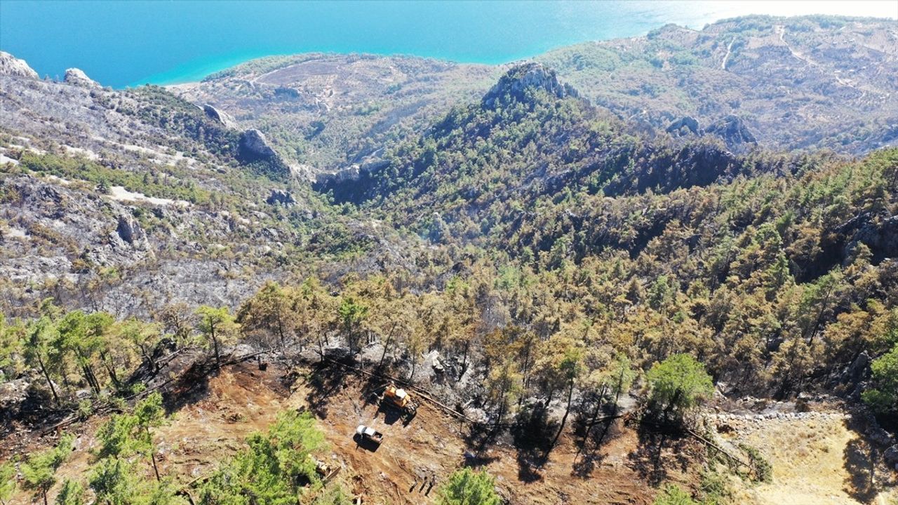 Menteşe'de Ekipler Yangın Şeridi Açarak Alevleri Kontrol Altına Aldı