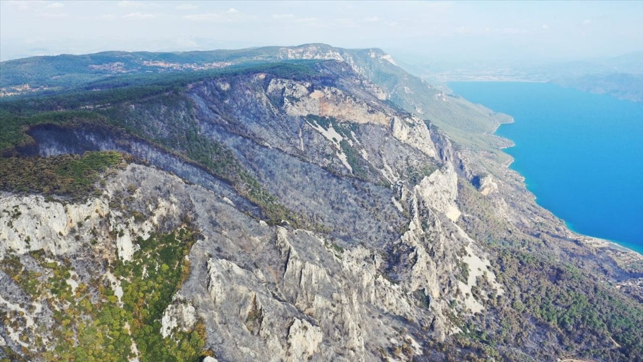 Menteşe'deki Orman Yangını Kontrol Altına Alındı