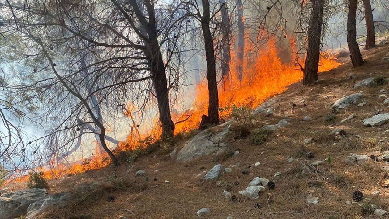 Mersin Silifke'de Orman Yangını Kontrol Altına Alındı