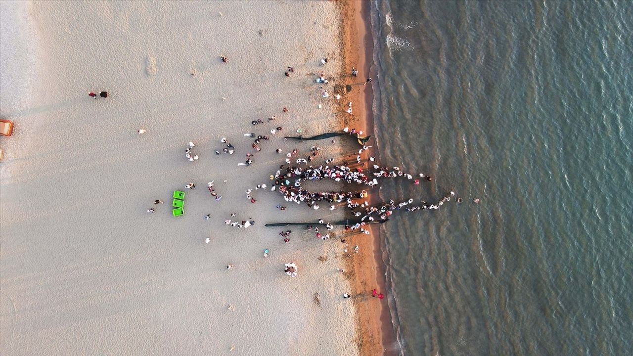 Muğla'da Deniz Kaplumbağaları Mavi Sulara Kavuştu