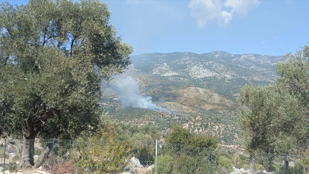 Muğla'da Yangın: 2 Hektar Alan Zarar Gördü