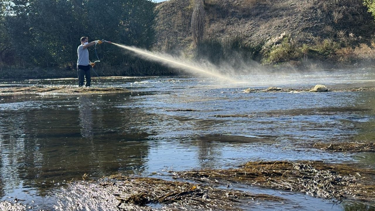 Nevşehir'de Kızılırmak Havzasında Simulium Sineklerine Karşı İlaçlama Çalışması Başlatıldı