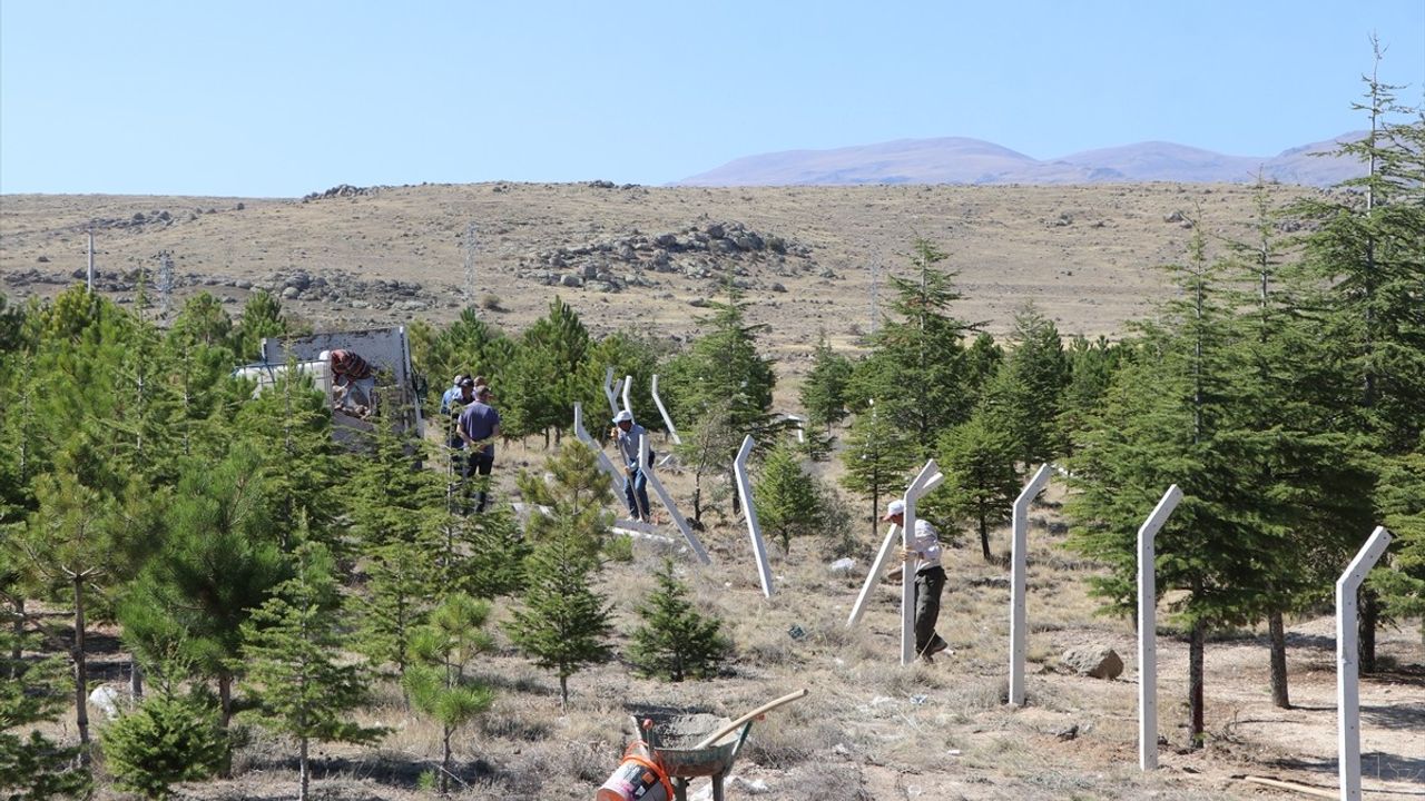 Niğde'de Tarladan Geçen Yol Tartışması