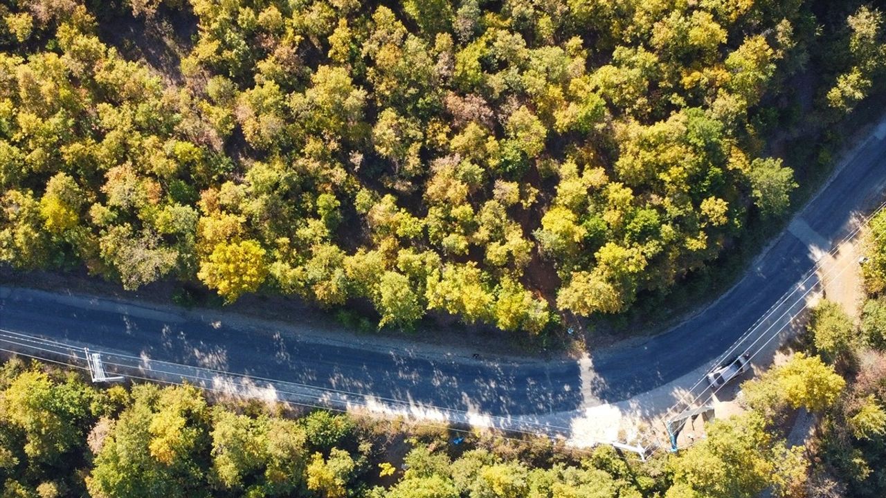 Ovacık Yaylası'nın Sonbahar Güzellikleri