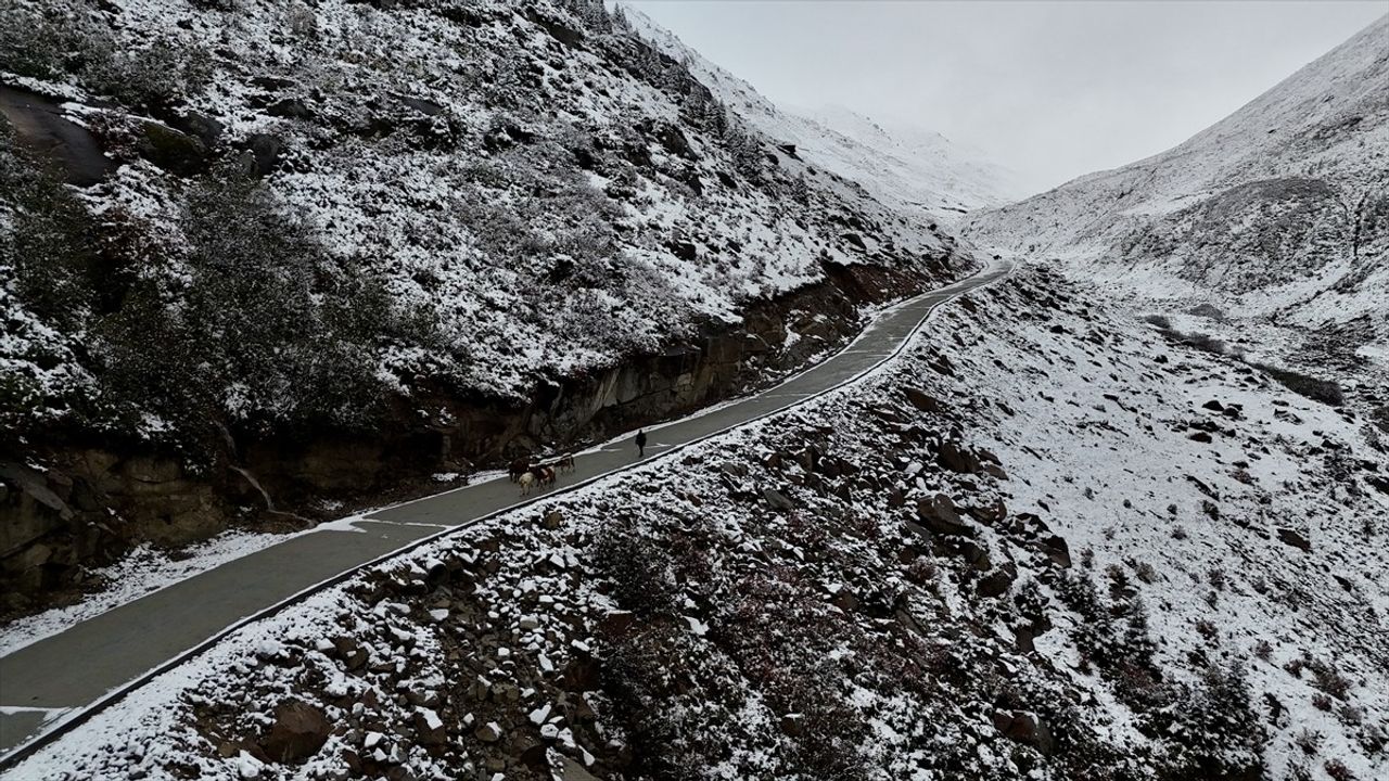 Rize'de Yayla Dönüşleri Başladı