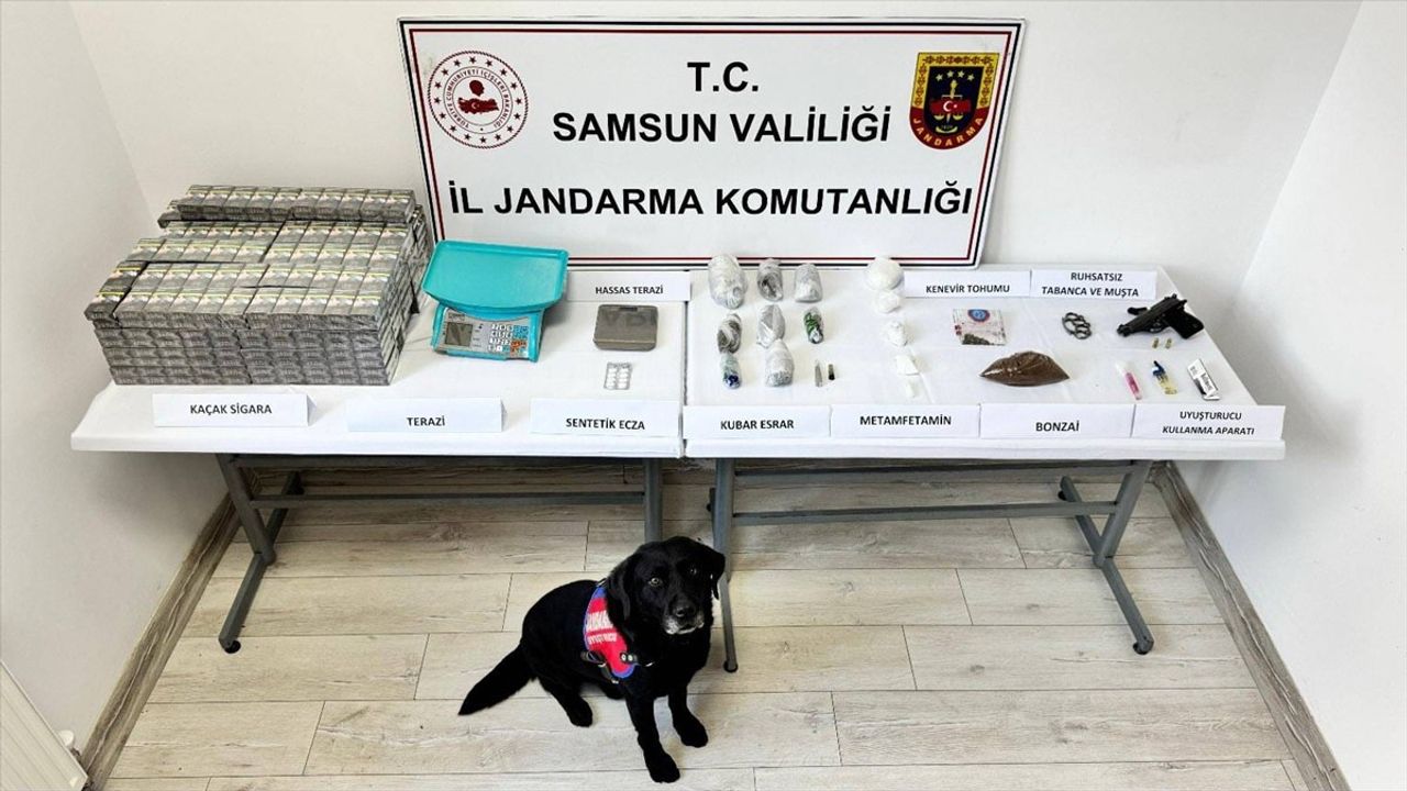 Samsun'da Uyuşturucu Operasyonu: Narkotik Köpeği Tahra Başarıyla Görevde