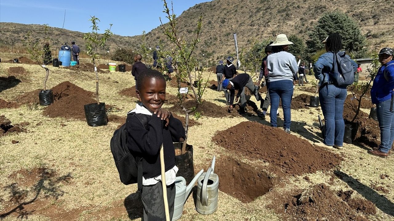 TİKA, Lesotho'ya 2 Bin Fidan Hibe Etti