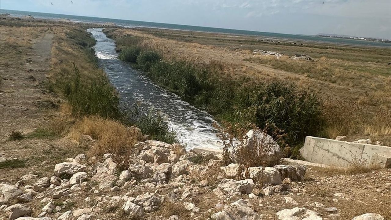 Van Gölü'ne Kaçak Deşarj: Büyükşehir Belediyesine Ceza Kesildi