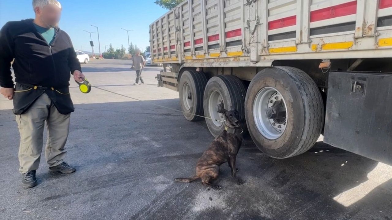 Adana'da Tırda 53 Kilogram Esrar Ele Geçirildi