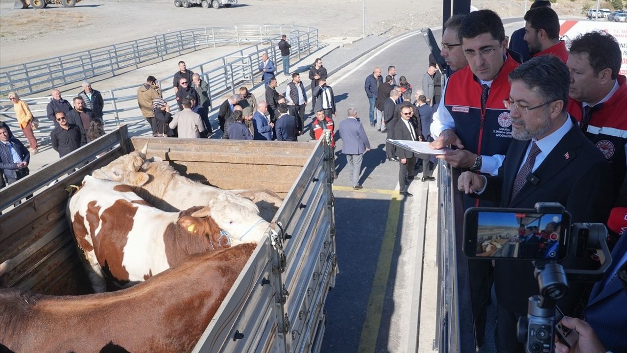 Ankara'da Veteriner Yol Kontrol İstasyonu Açıldı