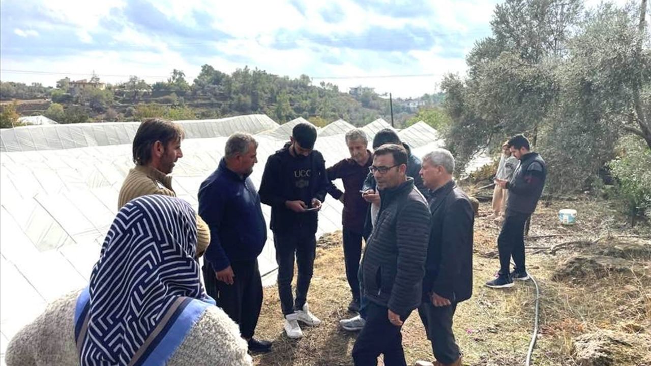 Antalya'da Hortum ve Sağanak Felaketi: Tarım Sektöründe Büyük Zarar