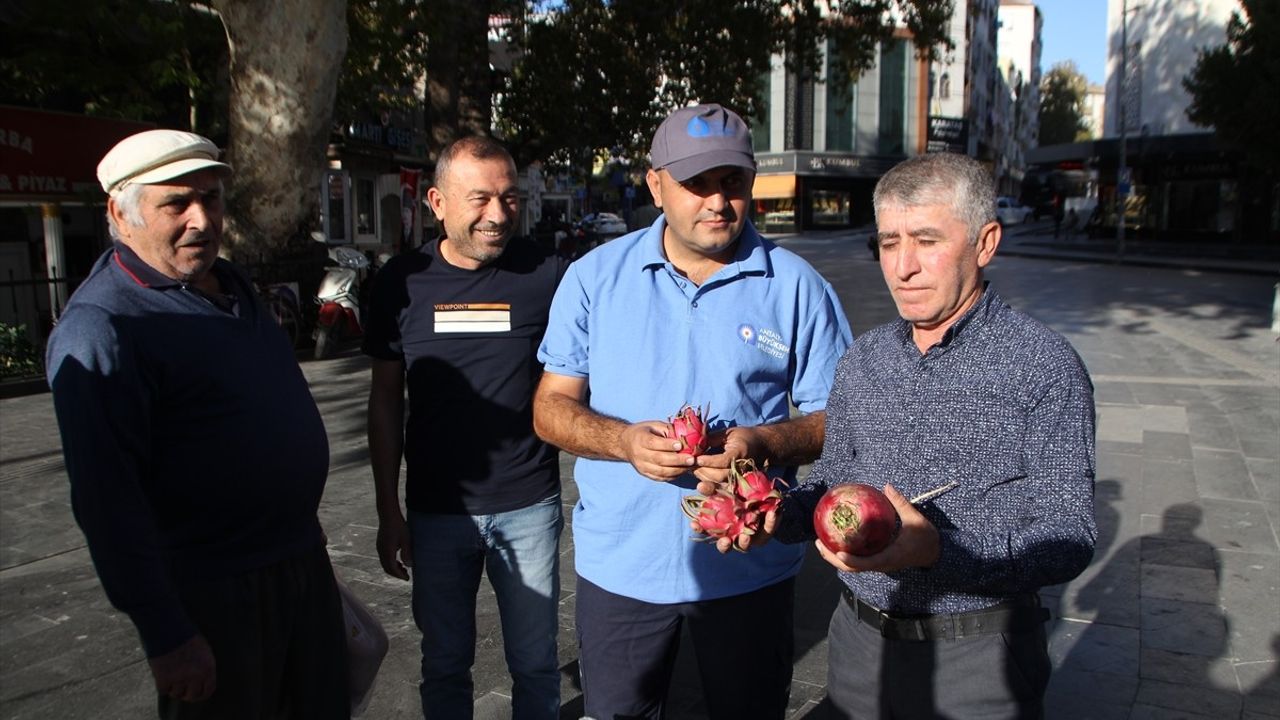 Antalyalı Üretici, Trump'ın Seçim Zaferini Turp ve Ejder Meyvesi ile Kutladı