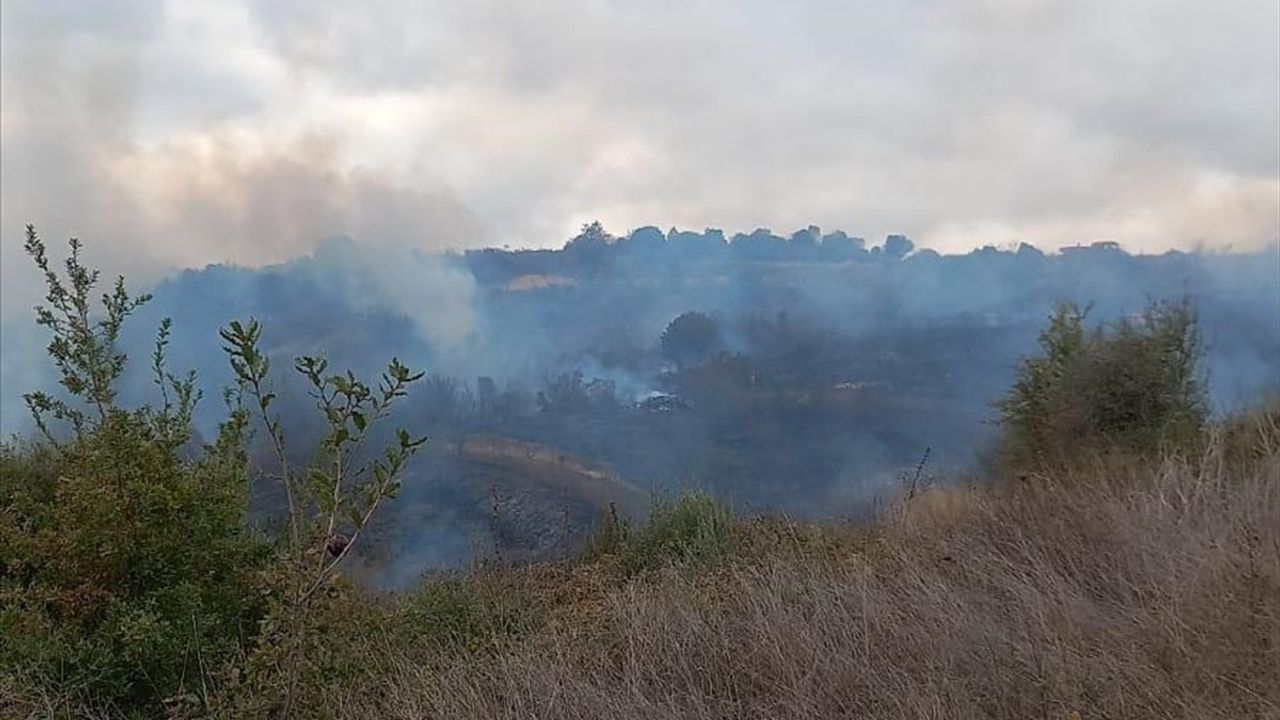 Çanakkale Biga'da Orman Yangınına Müdahale Başlatıldı