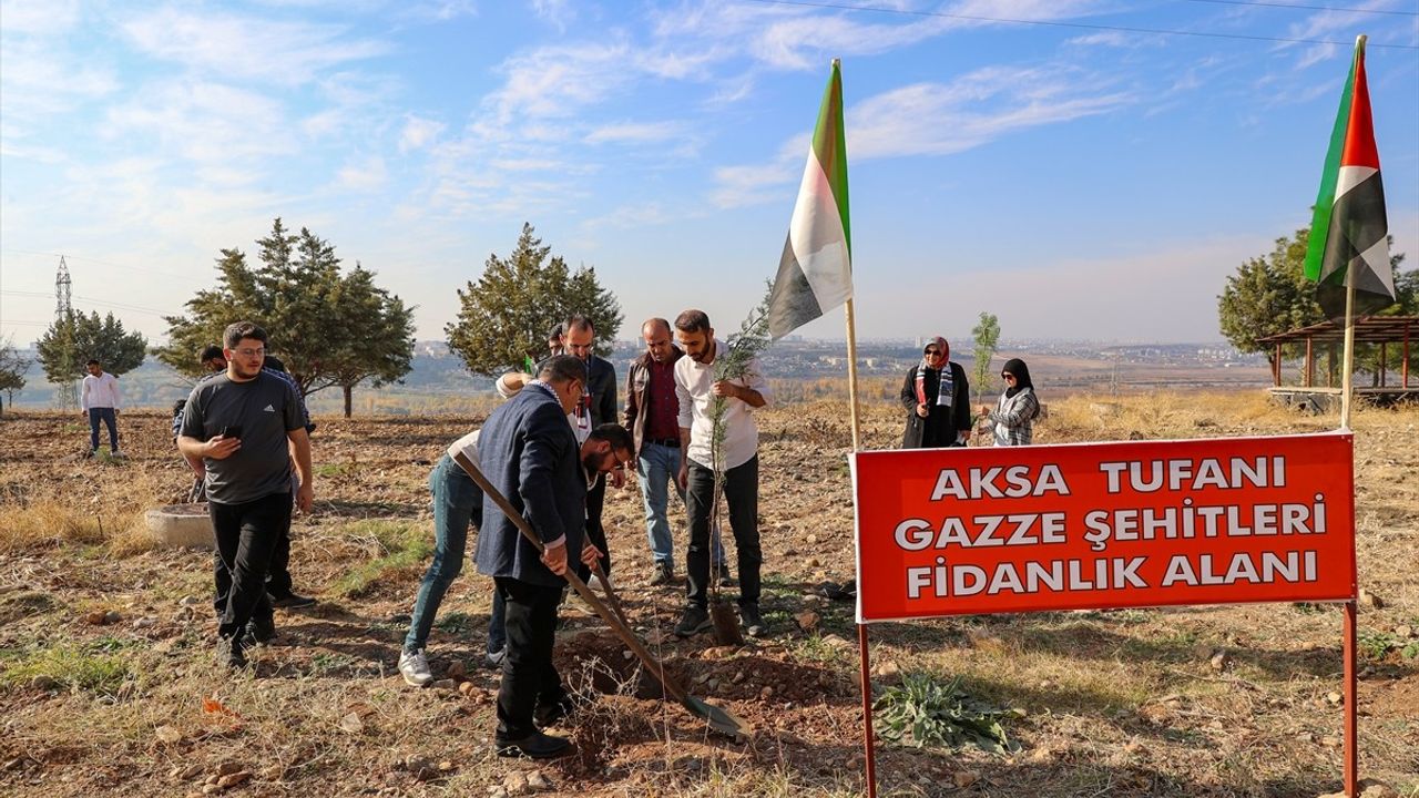 Diyarbakır'da Filistinliler İçin Fidan Dikimi Gerçekleşti