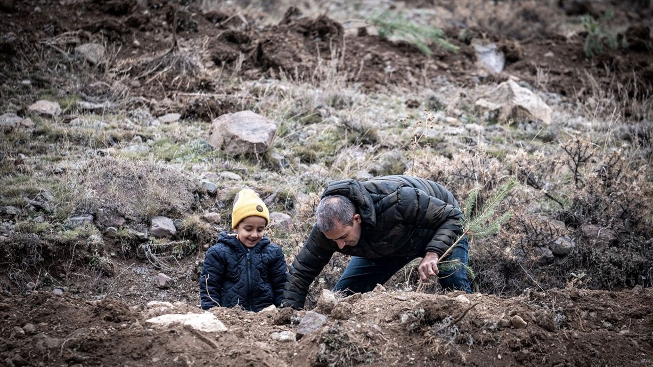 Doğu Anadolu'da Fidan Dikim Etkinlikleri Heyecanı