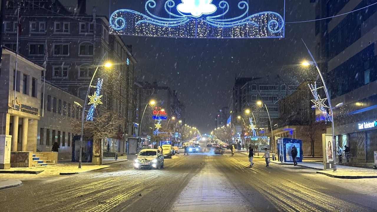 Erzurum'da Kar Yağışı Etkisi