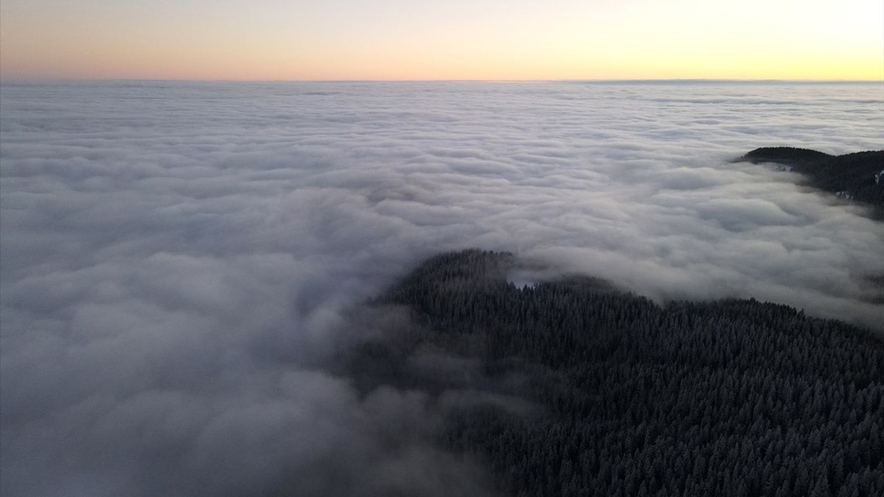 Ilgaz Dağı'nda Büyüleyici Sis Manzarası