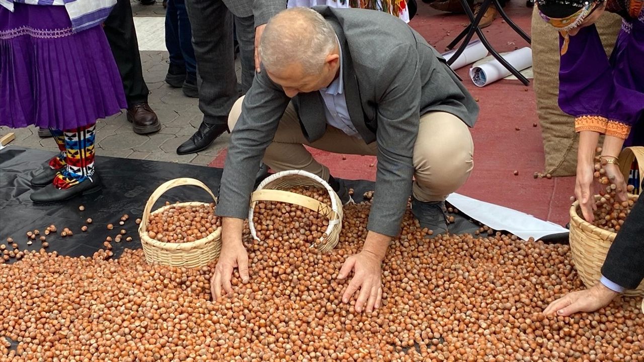 Kadıköy'de Ordulu Buluşması: Ücretsiz Fındık Etkinliği