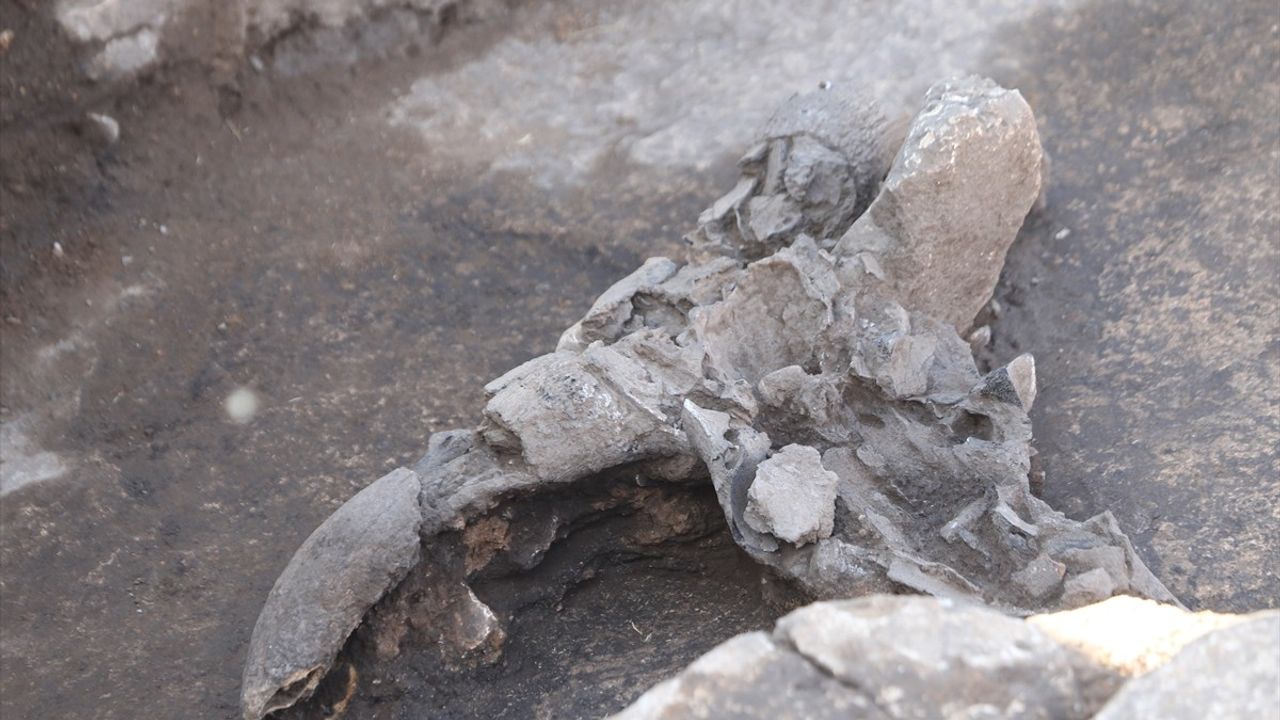 Karahantepe Kazılarında Leopar Kemikleri Bulundu