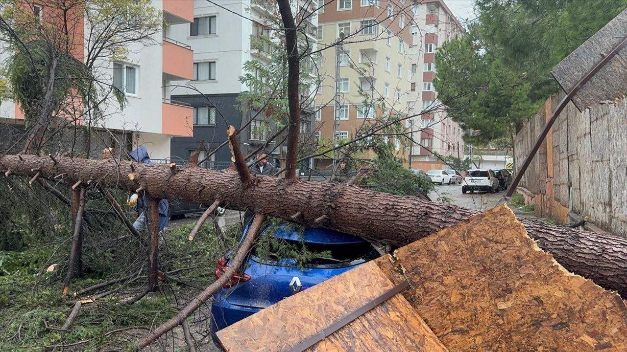 Kartal'da Fırtına Sonucu Ağaç Devrildi