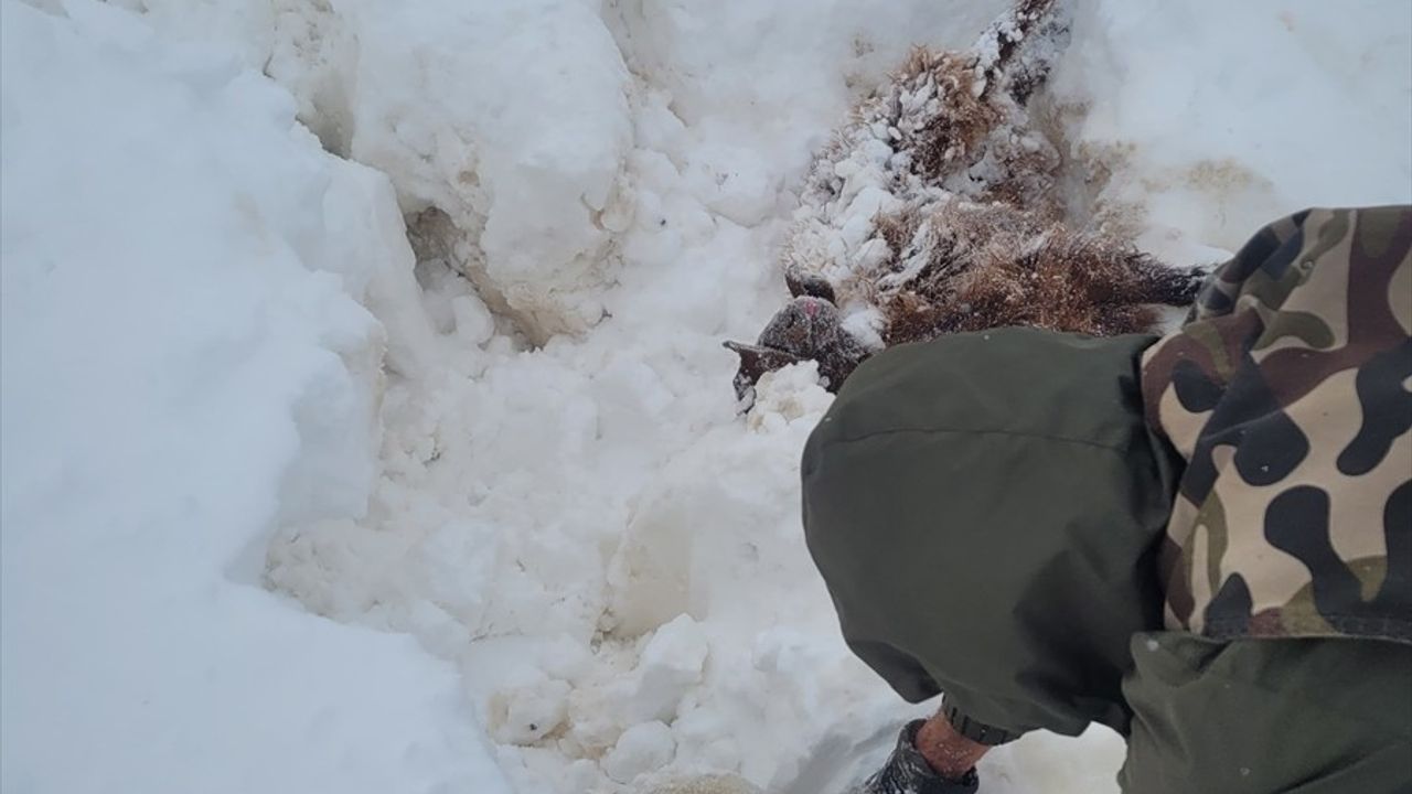 Kayseri'de Mahsur Kalan 80 Yaşındaki Çoban Kurtarıldı