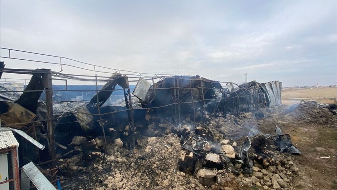 Kayseri'deki Mantar Üretim Tesisinde Yangın Kontrol Altına Alındı