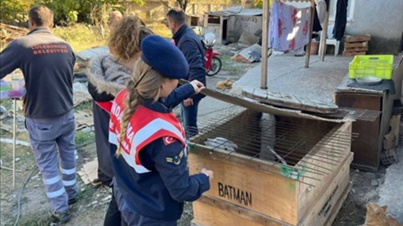 Kırklareli'nde Yasaklı Irk Köpek Beslemeye Ceza