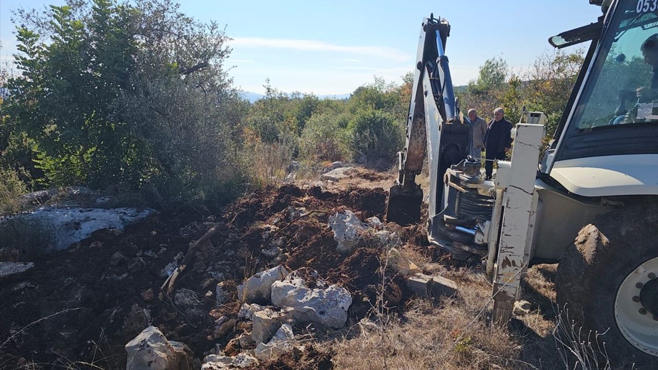 Mersin'de Tavuk Telef Olayı: Yem Tedarikinde Aksaklık