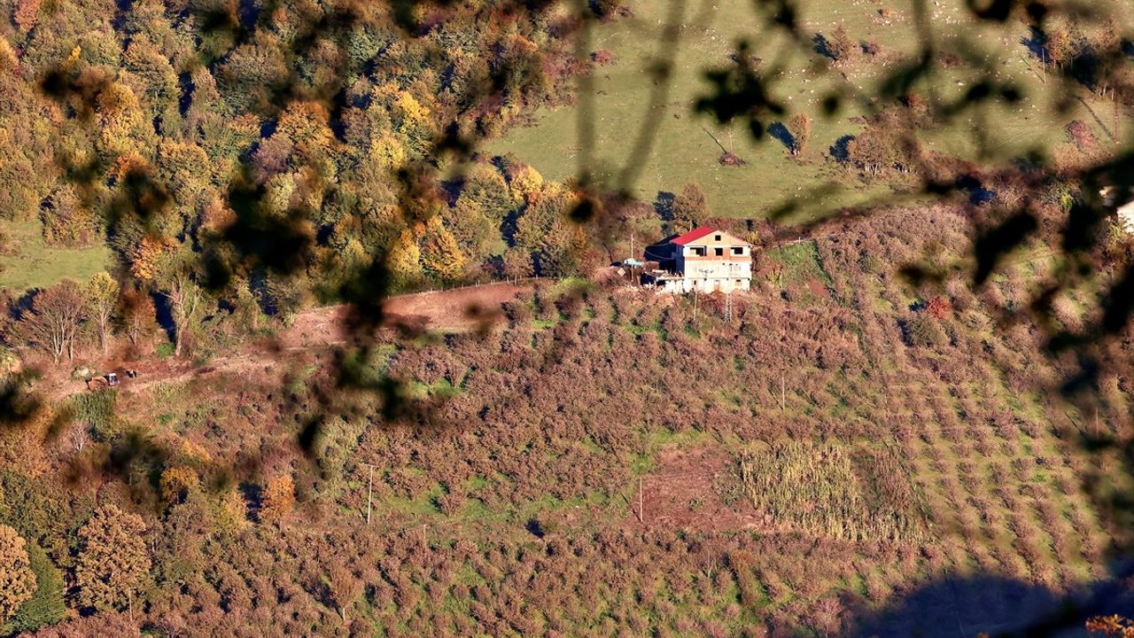 Nebiyan Dağı Sonbaharda Güz Renklerine Büründü