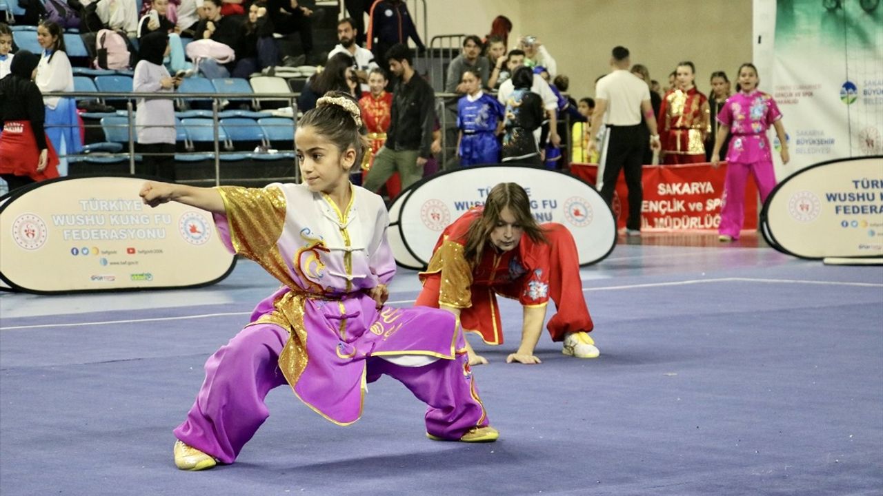 Sakarya'da Geleneksel Wushu Türkiye Şampiyonası Başladı