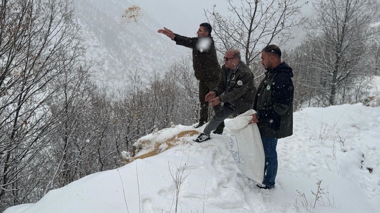 Siirt'te Yaban Hayvanları İçin Doğaya Yem Bırakıldı