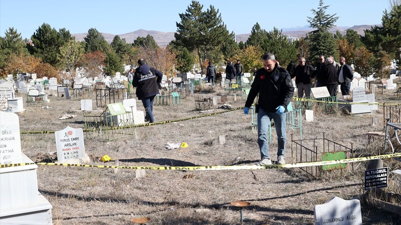 Sivas'ta Bebek Cesedi Olayı: Yabani Hayvanların Mezardan Çıkardığı Tespit Edildi