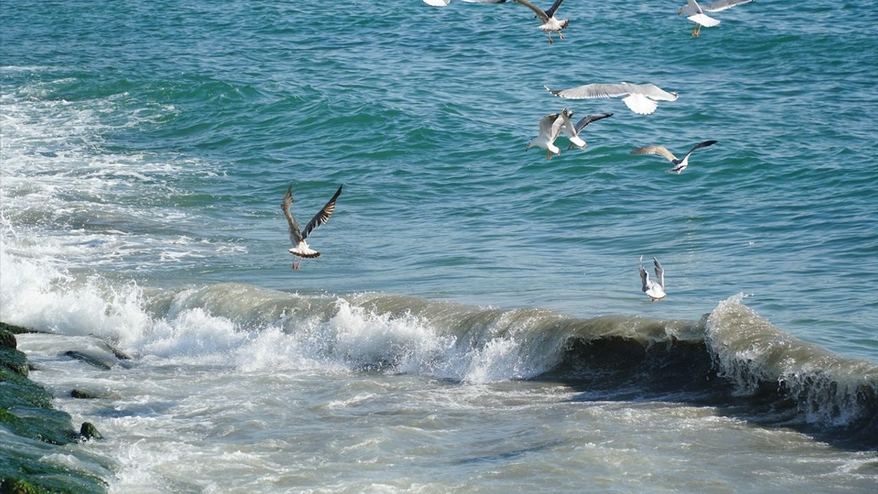 Tekirdağ'da Poyraz Etkisi Sürekleniyor