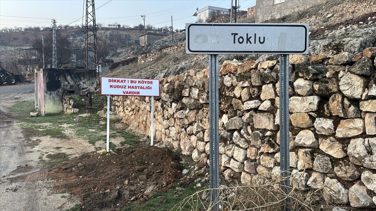 Adıyaman'da Kuduz Tehdidi: Toklu Köyü Karantinaya Alındı