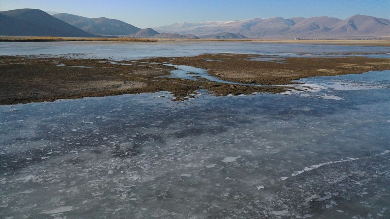 Ağrı'nın Doğubayazıt İlçesinde Sulak Alanlar Buzla Kaplandı