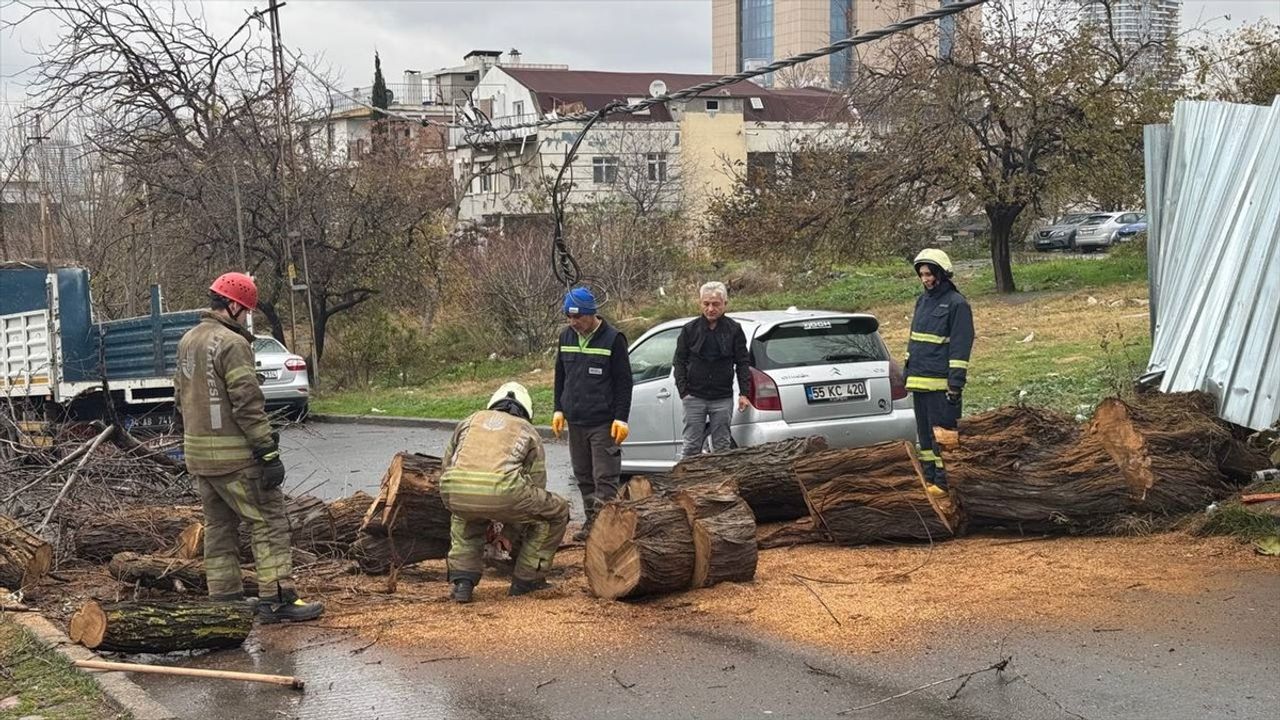 Avcılar'da Yola Devrilen Ağaç Trafiği Engelledi