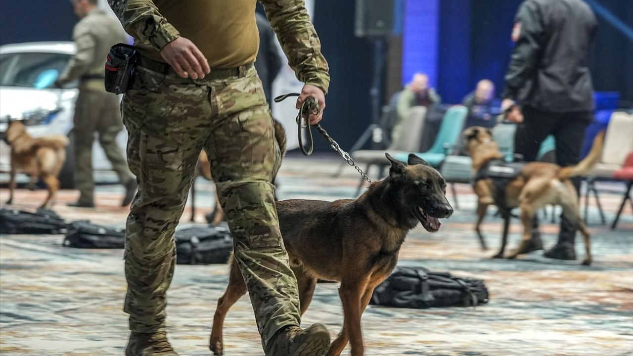 Bosna Hersek'te K9 Köpekleri için Narkotik ve Güvenlik Yarışması