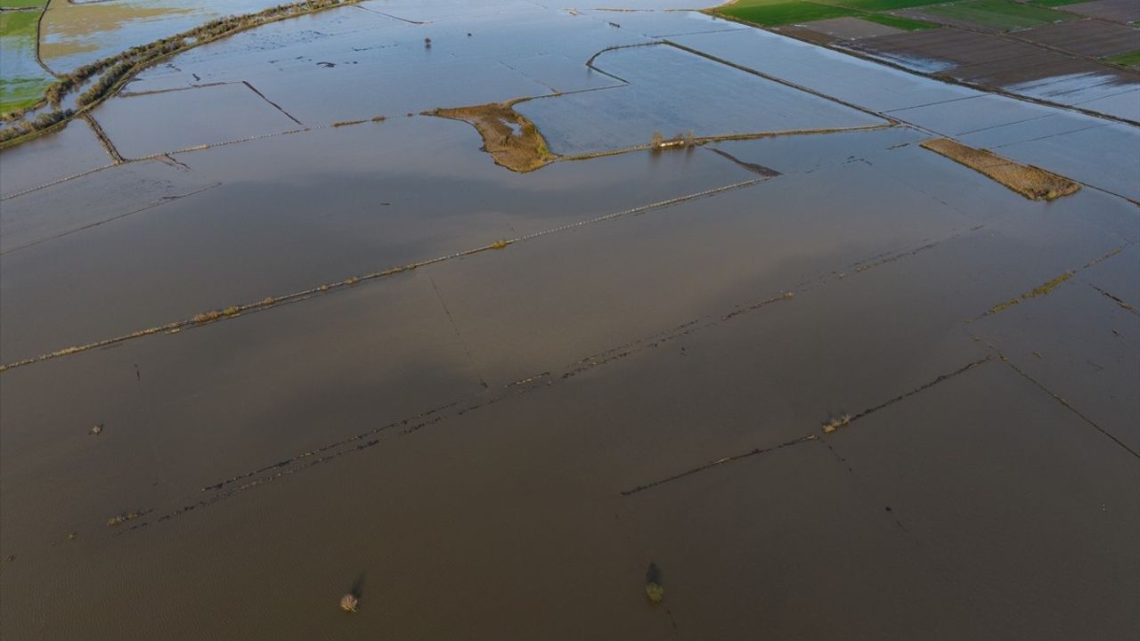 Büyük Menderes Nehri'nde Taşkınlar