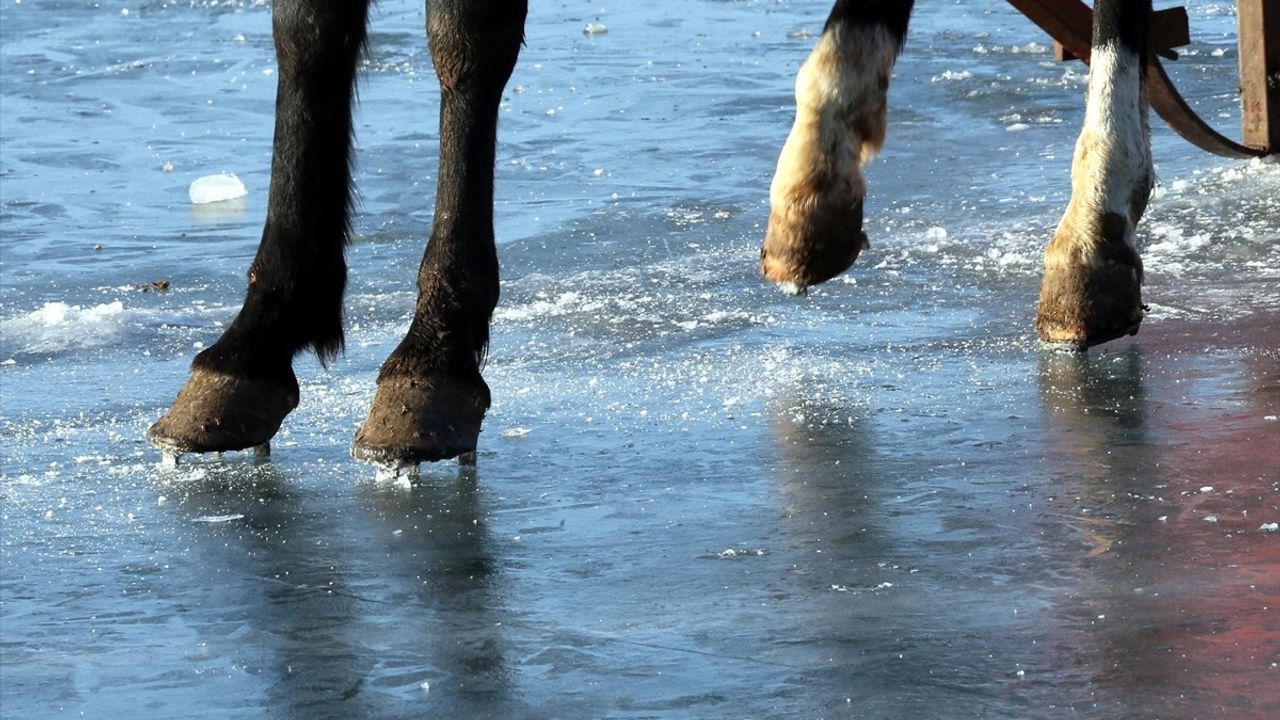 Çıldır Gölü'nde Türkülerle Atlı Antrenman