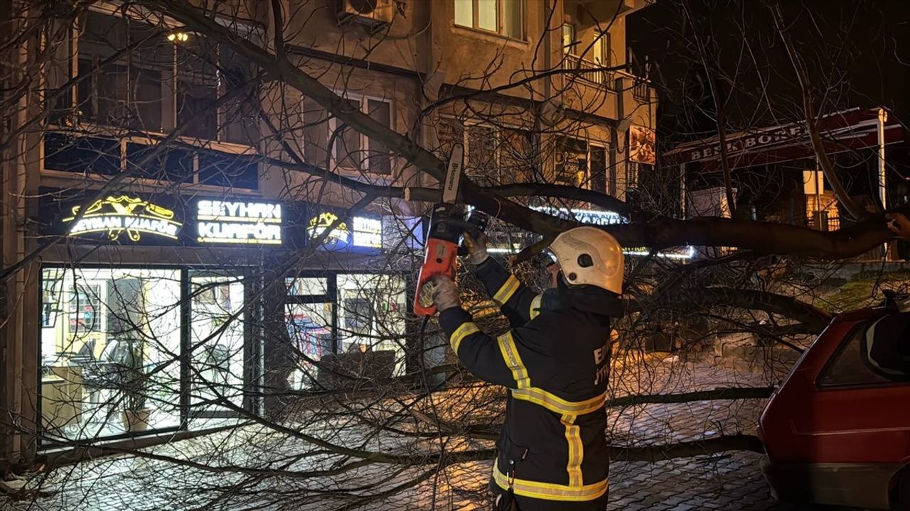 Edirne'de Ağaç Otomobilin Üzerine Düştü