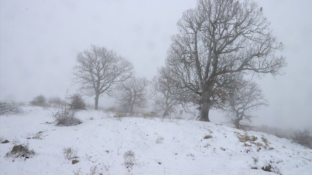 Edirne'de Kar Yağışı Etkisini Gösteriyor