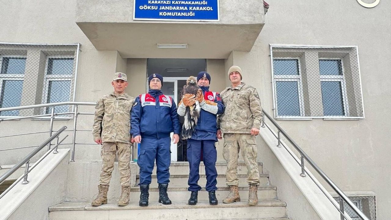 Erzurum'da Bulunan Kartal Koruma Altına Alındı