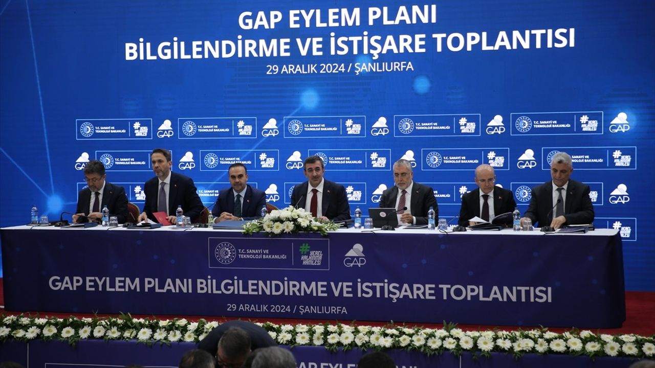 GAP Eylem Planı Bilgilendirme Toplantısı Şanlıurfa'da Başladı