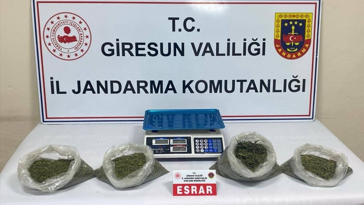 Giresun'da Uyuşturucu Operasyonu: 2 Tutuklama