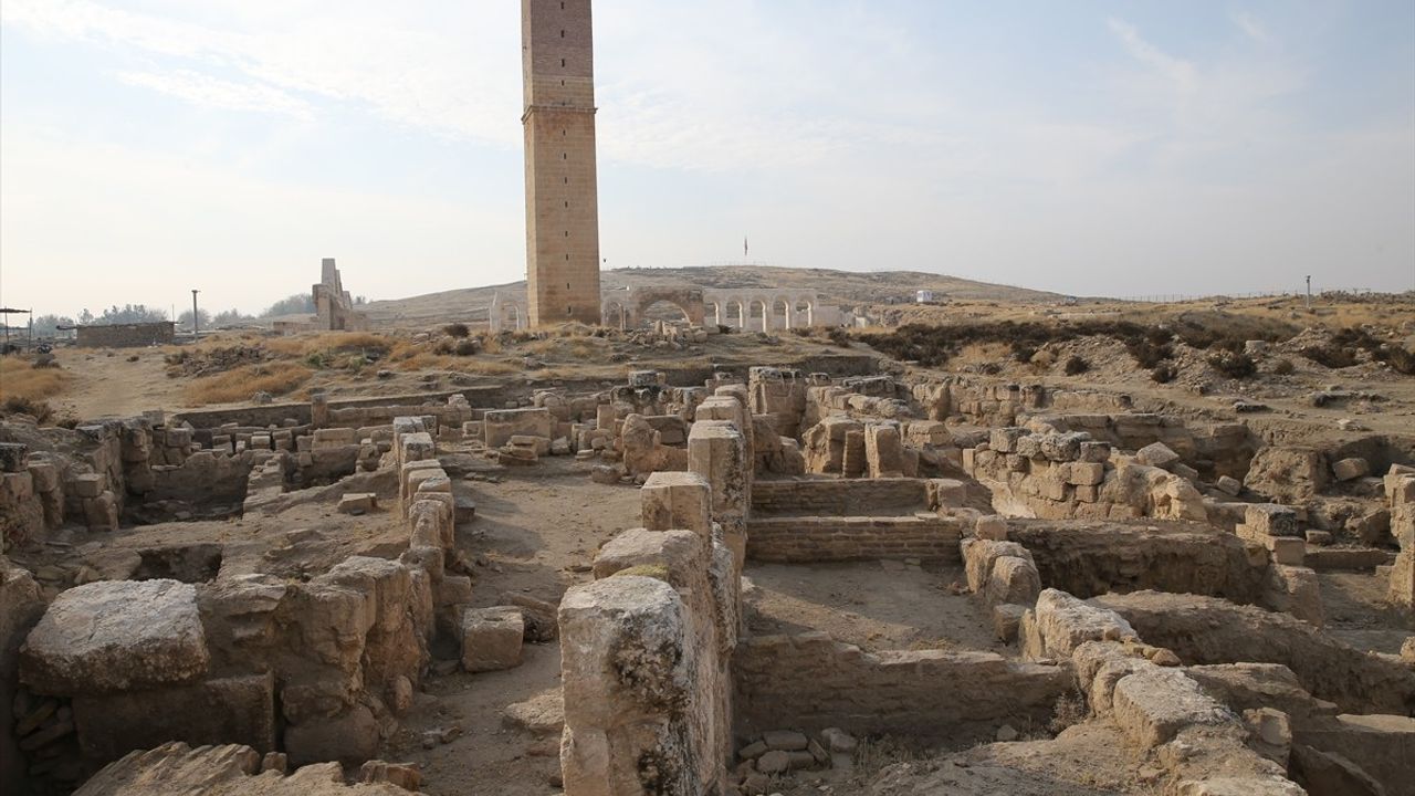 Harran'da 11. Yüzyıla Ait Medrese Derslik Bölümü Ortaya Çıktı